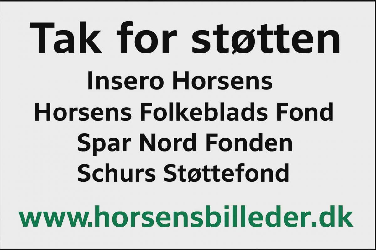 Disse fonde har ydet tilskud